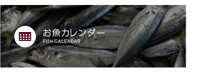 お魚カレンダー
