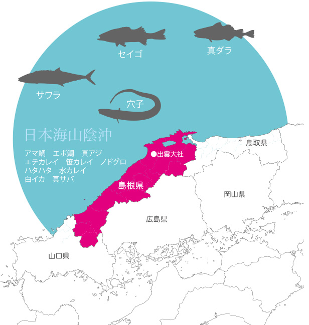 山陰沖の食材